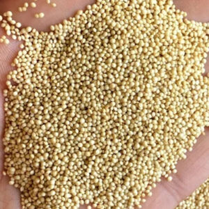 Green Calaloo/Amaranth seeds