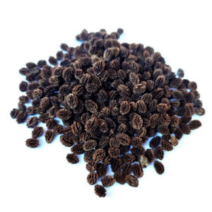 Papaya Seeds